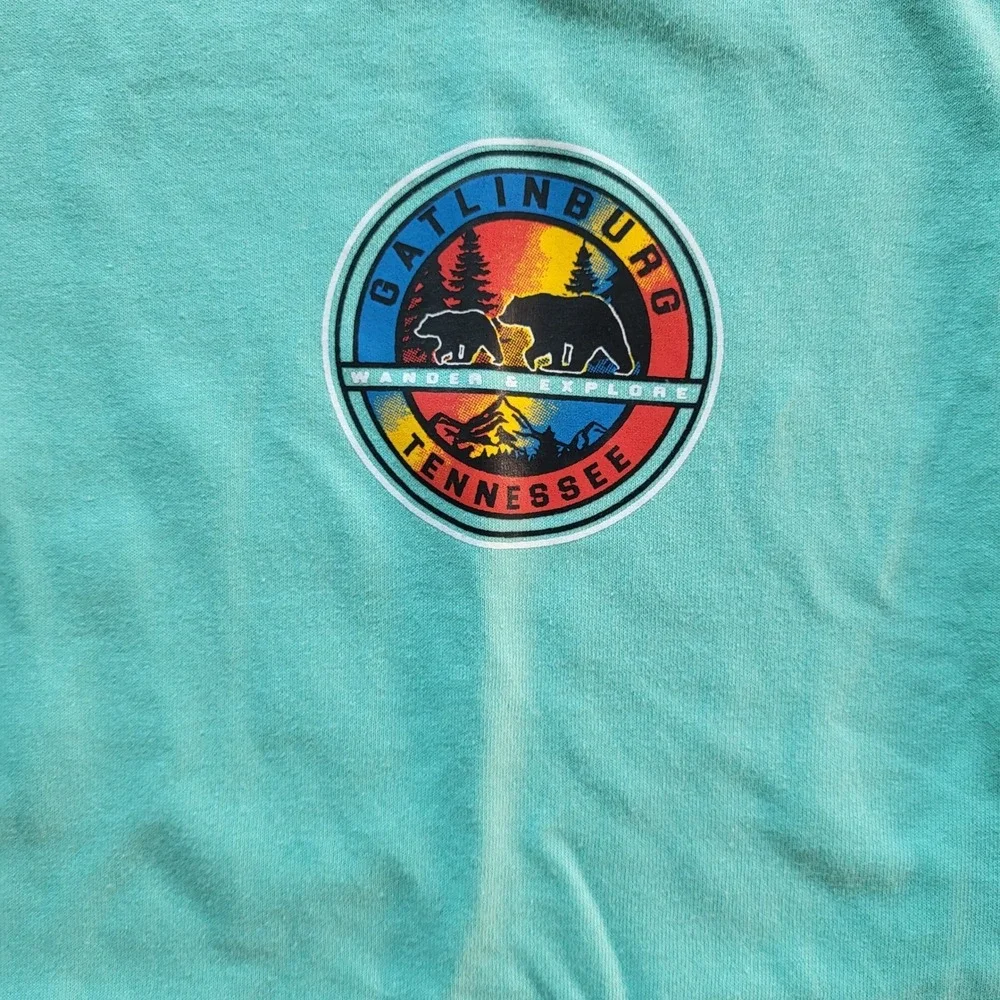 Jerzees Dri-Power Gatlinburg Tennessee Bear Graphic T-Shirt Teal Mens Large